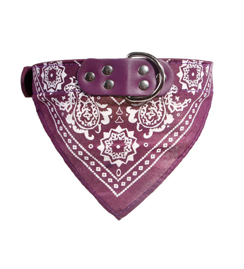 Fashion Bandana Collar Small Dogs Spring Summer Fall - Grocery Deals
